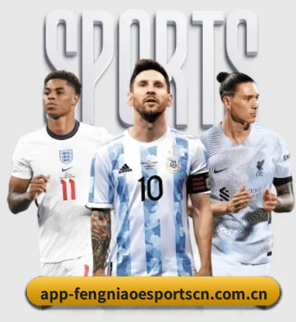 蜂鸟电竞 APP | fengniao esports